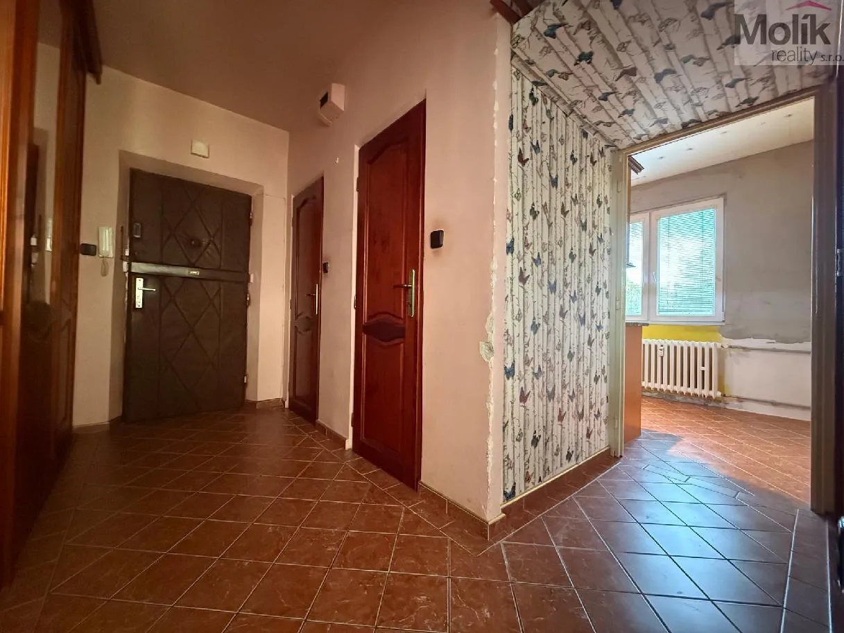 stažený soubor (2)
