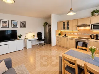 Moderní uklizený obývací pokoj s kuchyní