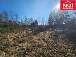 20260305_145431