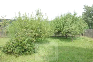 DSC06921