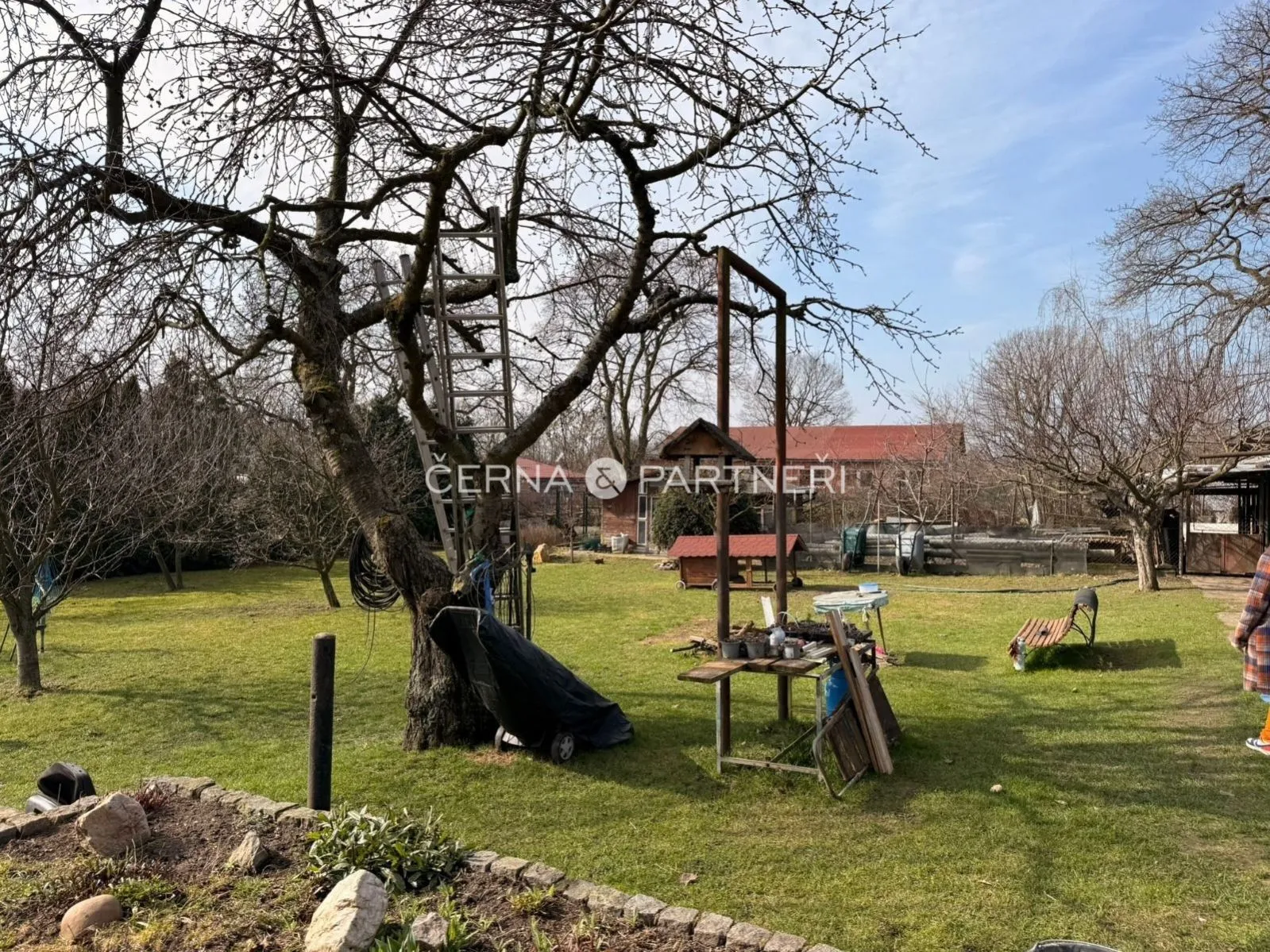 fotografie