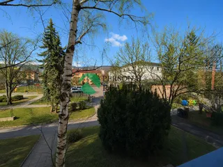 výhled z okna