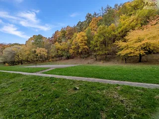PXL_20261024_134705499-1