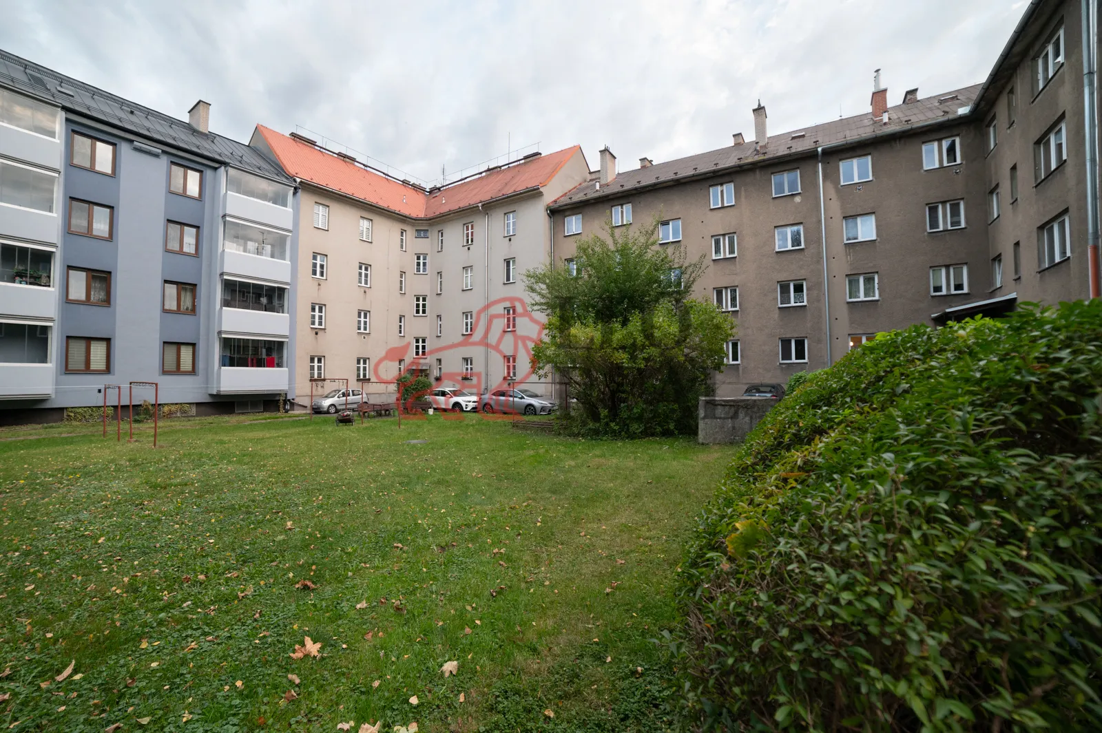 DSC_9209.jpg