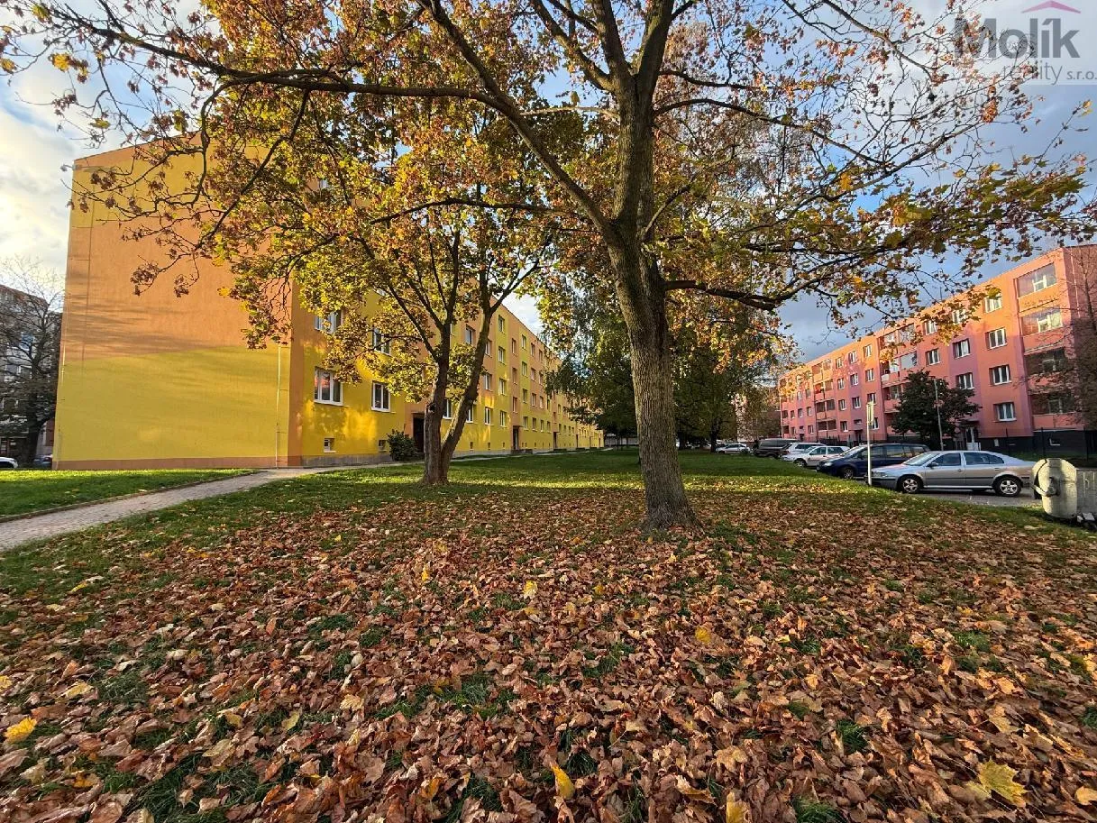stažený soubor (12)