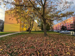 stažený soubor (12)
