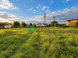 Zlaté odpoledne nad předměstskou loukou