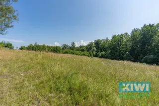 DSC01376
