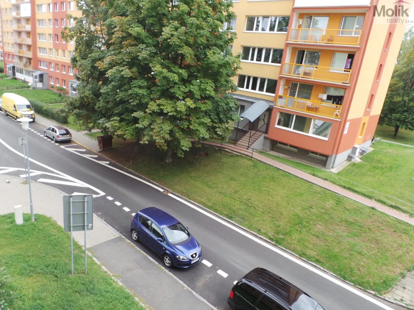 20190913_102651.JPG