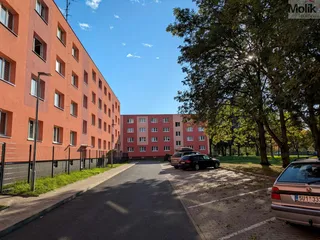 PXL_20261007_135912173