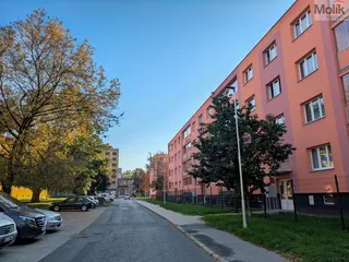PXL_20261007_143906286