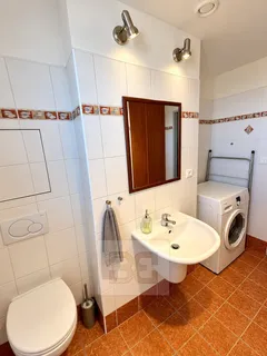 istá moderní koupelna s prač