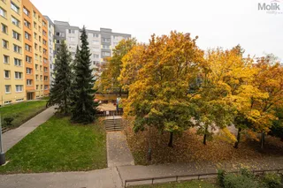 DSC04731-2