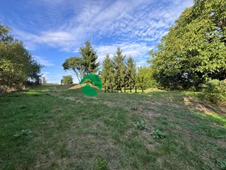 IMG_1415