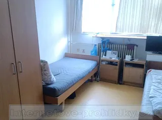 7 - kopie