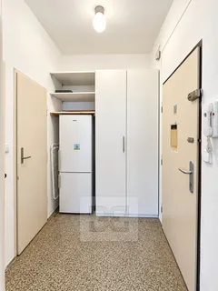 Světlá moderní předsíň s lednicí