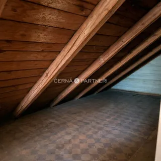 fotografie