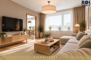 VIZUALIZACE