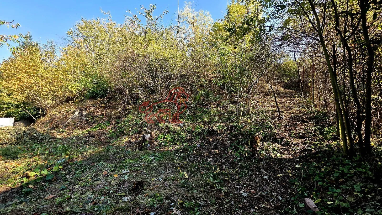 20261020_135033.jpg