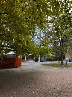 IMG_0601