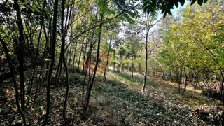 20261020_134732.jpg