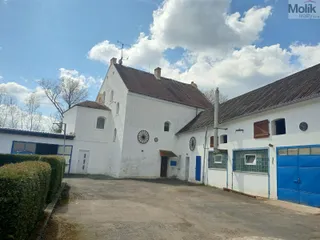 IMG20230419130119.jpg