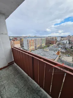 20250317_130752.jpg