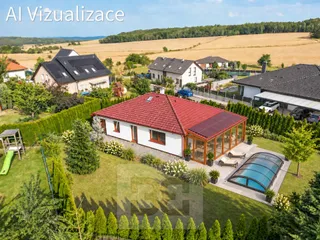 AI Vizualizace