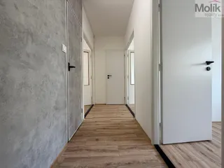 stažený soubor (11)