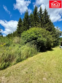 IMG_5937