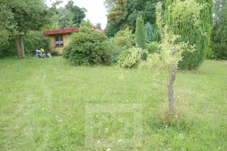 DSC06933