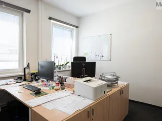 P1030521.jpg