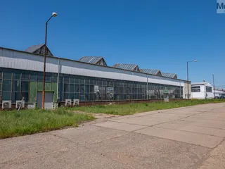 P1030565.jpg