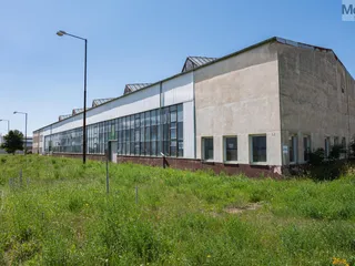 P1030571.jpg