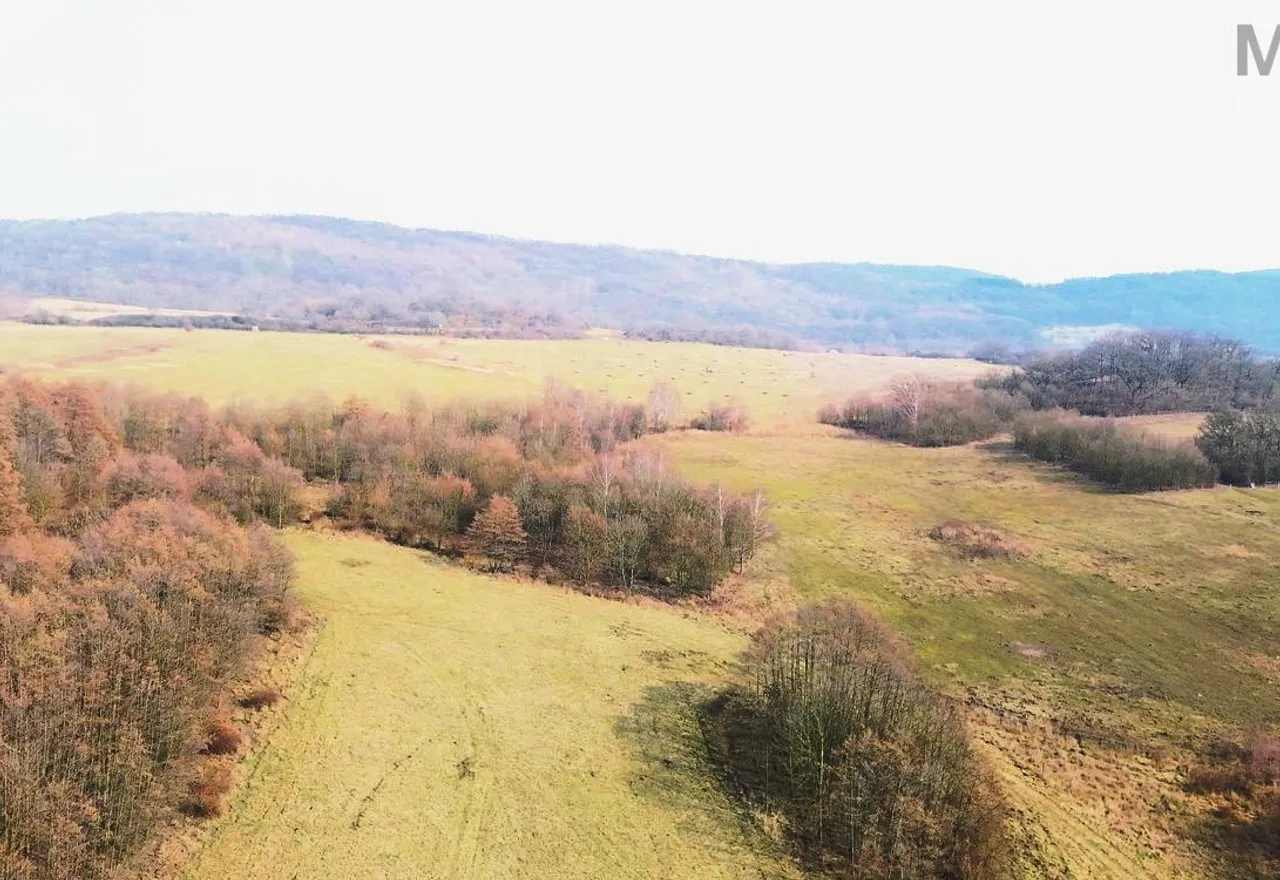 DJI_20260310130944_0094_Da.jpg