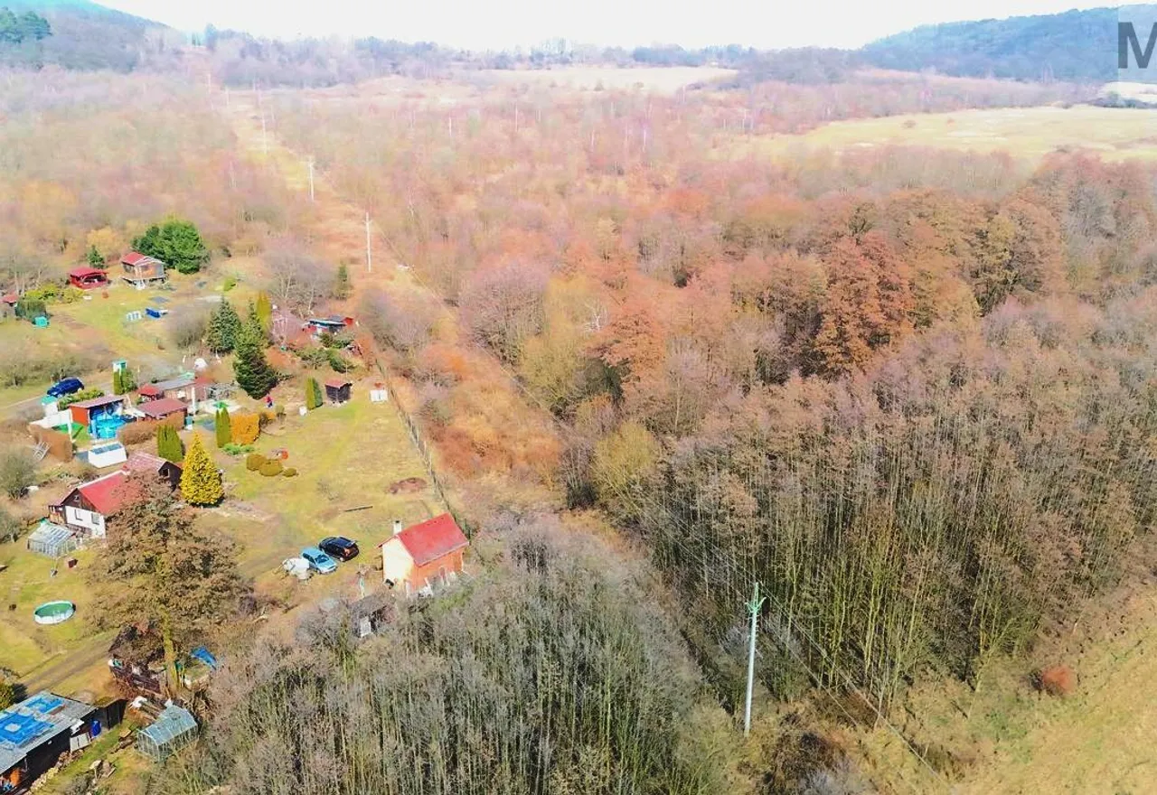 DJI_20260310130955_0095_Da.jpg