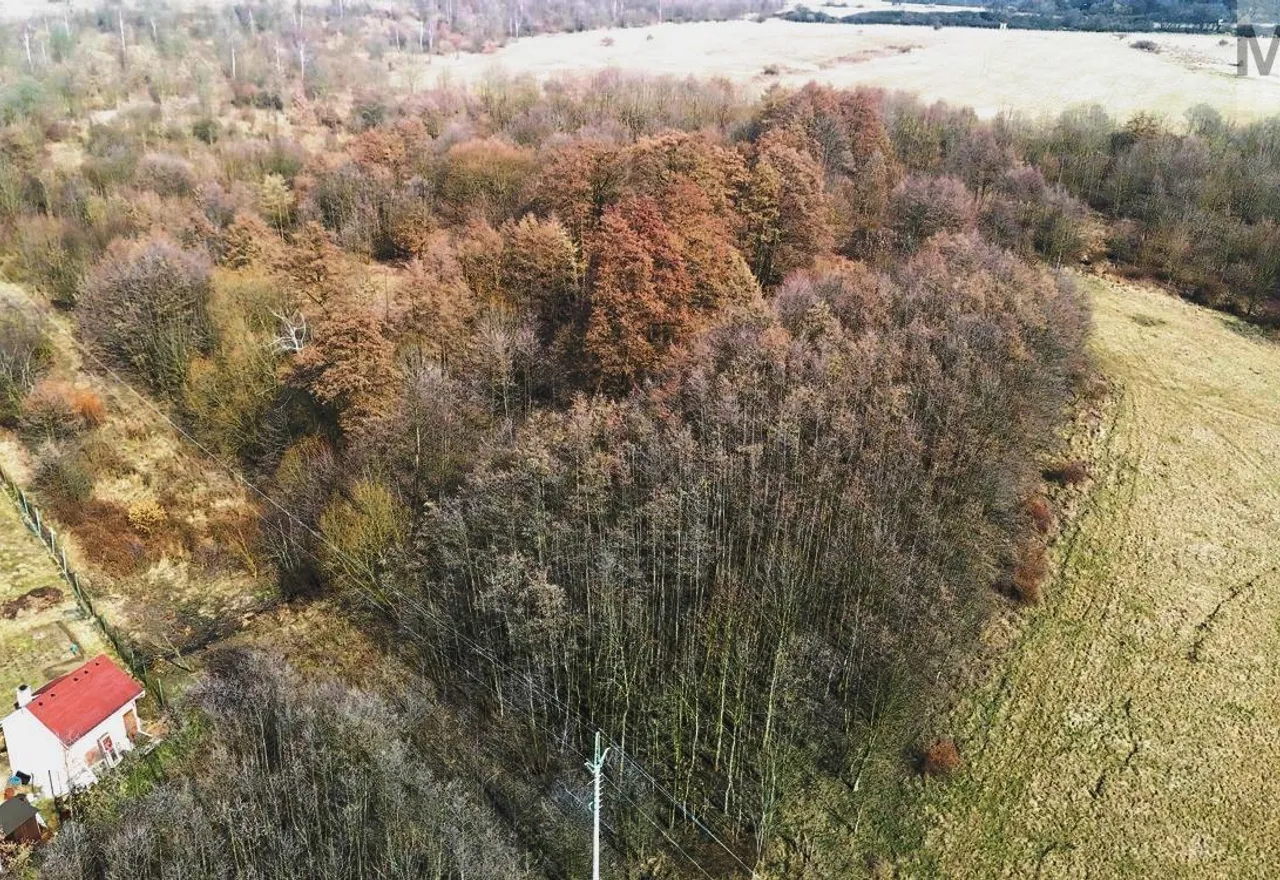 DJI_20260310130715_0089_Da.jpg
