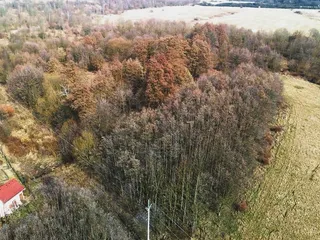DJI_20260310130715_0089_Da.jpg