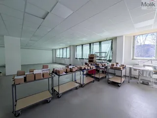 PXL_20260409_111831695.jpg