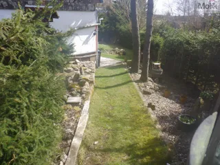DSCF8485.JPG