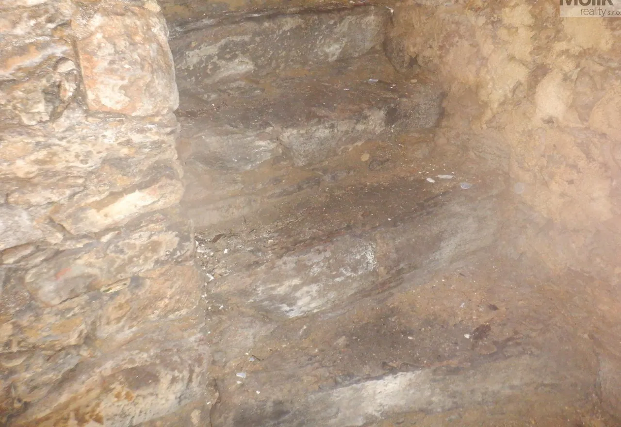 DSCF8503.JPG