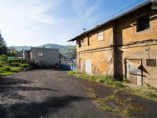DSC07679.jpg