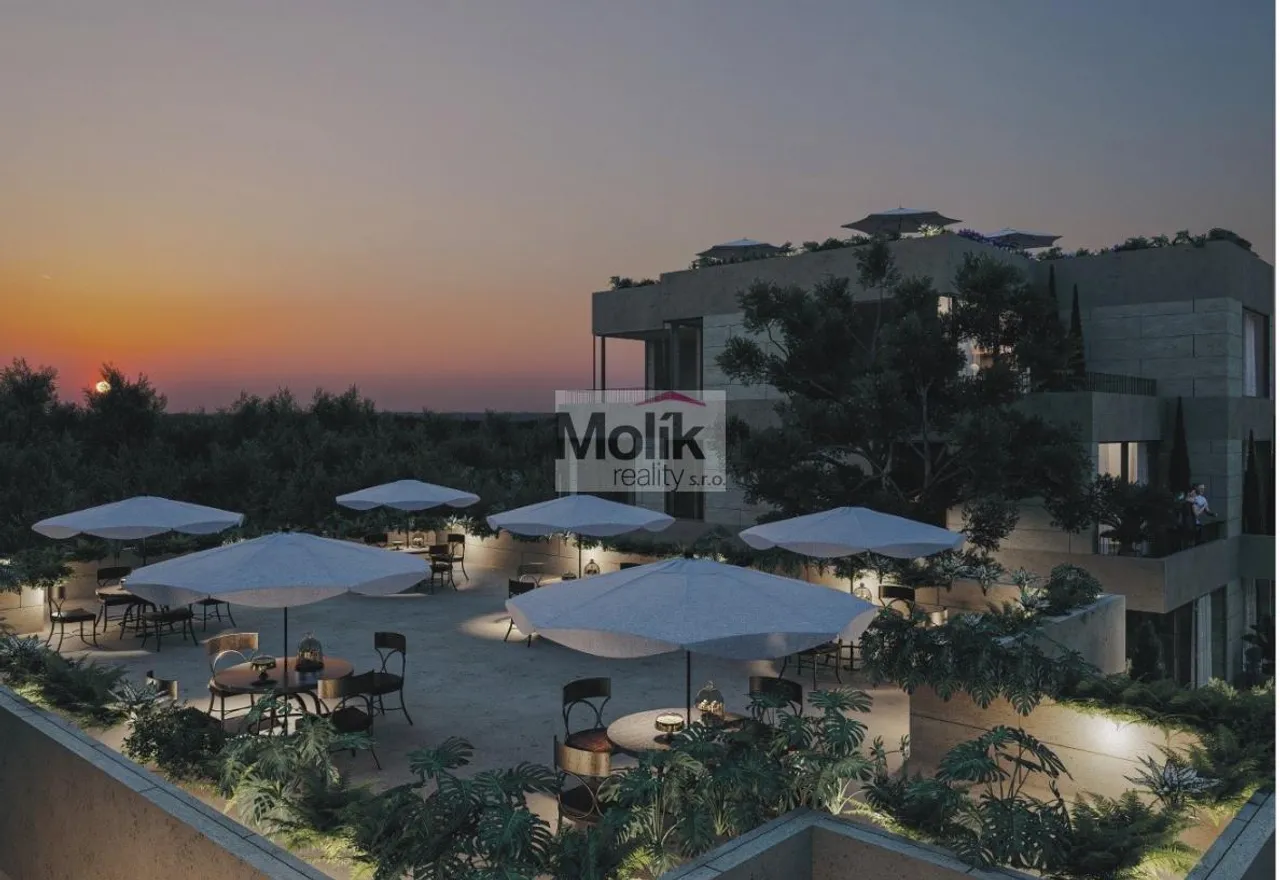 50beb23d-e70e-4036-8822-ec5406795659.jpeg