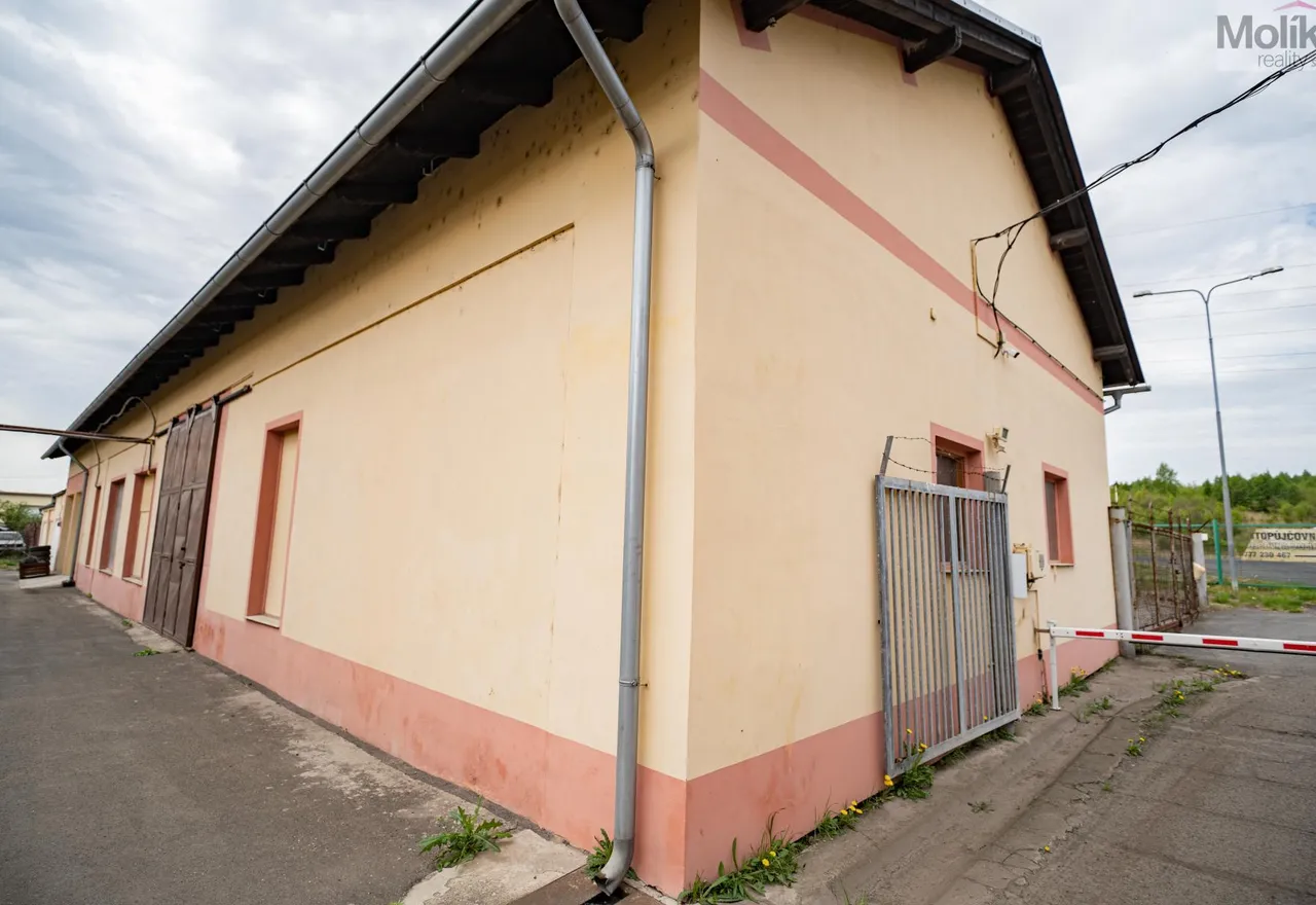 DSC08119.jpg