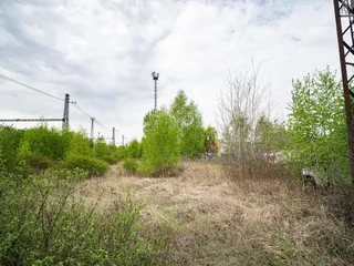 DSC08155.jpg
