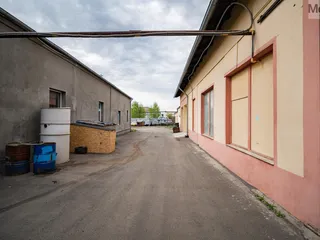 DSC08134.jpg