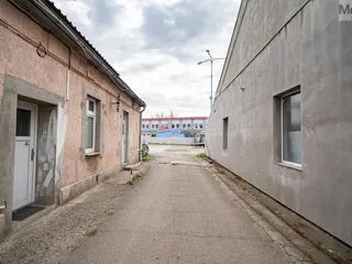 DSC08128.jpg