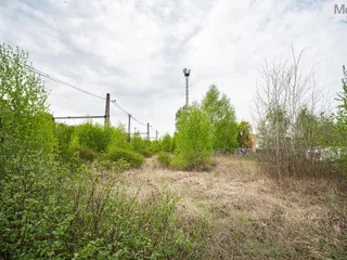 DSC08154.jpg