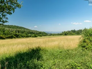 1. DSA04260-HDR.jpg