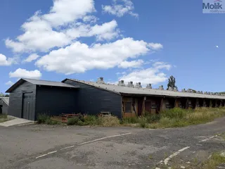 PXL_20260630_073335889.MP.jpg